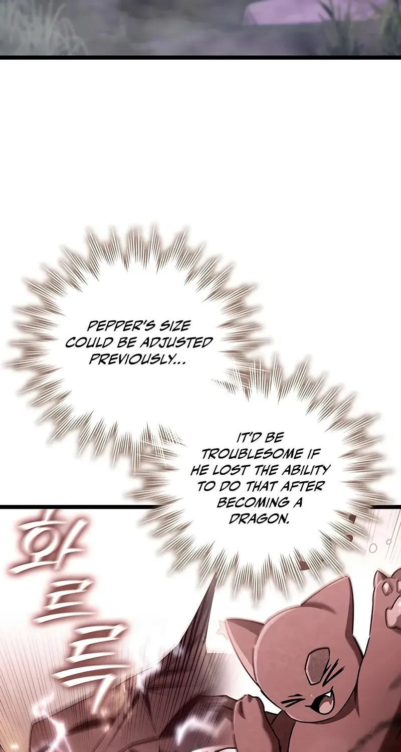 Dragon-Devouring Mage Chapter 98 page 44 - 