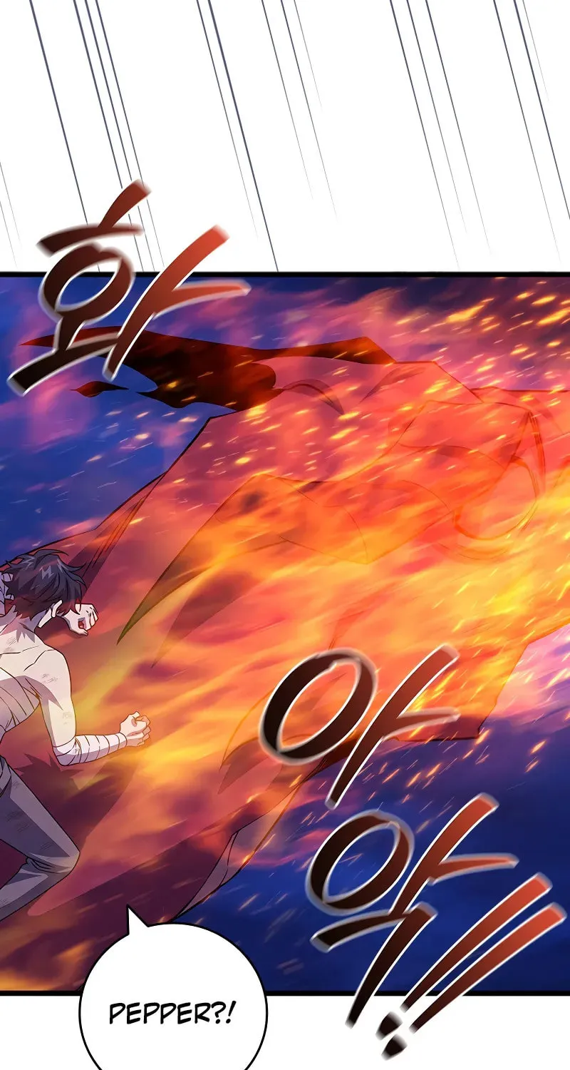 Dragon-Devouring Mage Chapter 98 page 67 - 