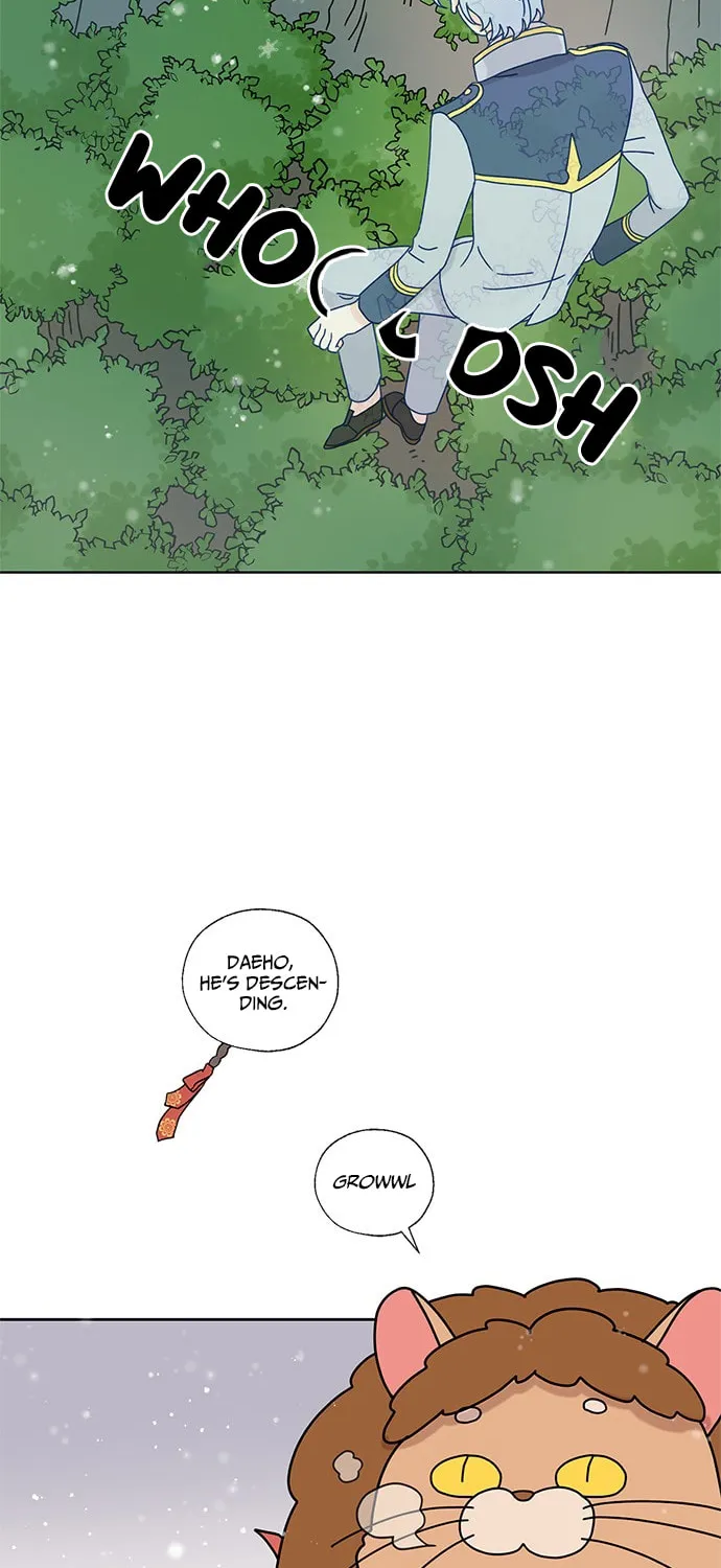Dragon King's Chef Chapter 11 page 43 - 