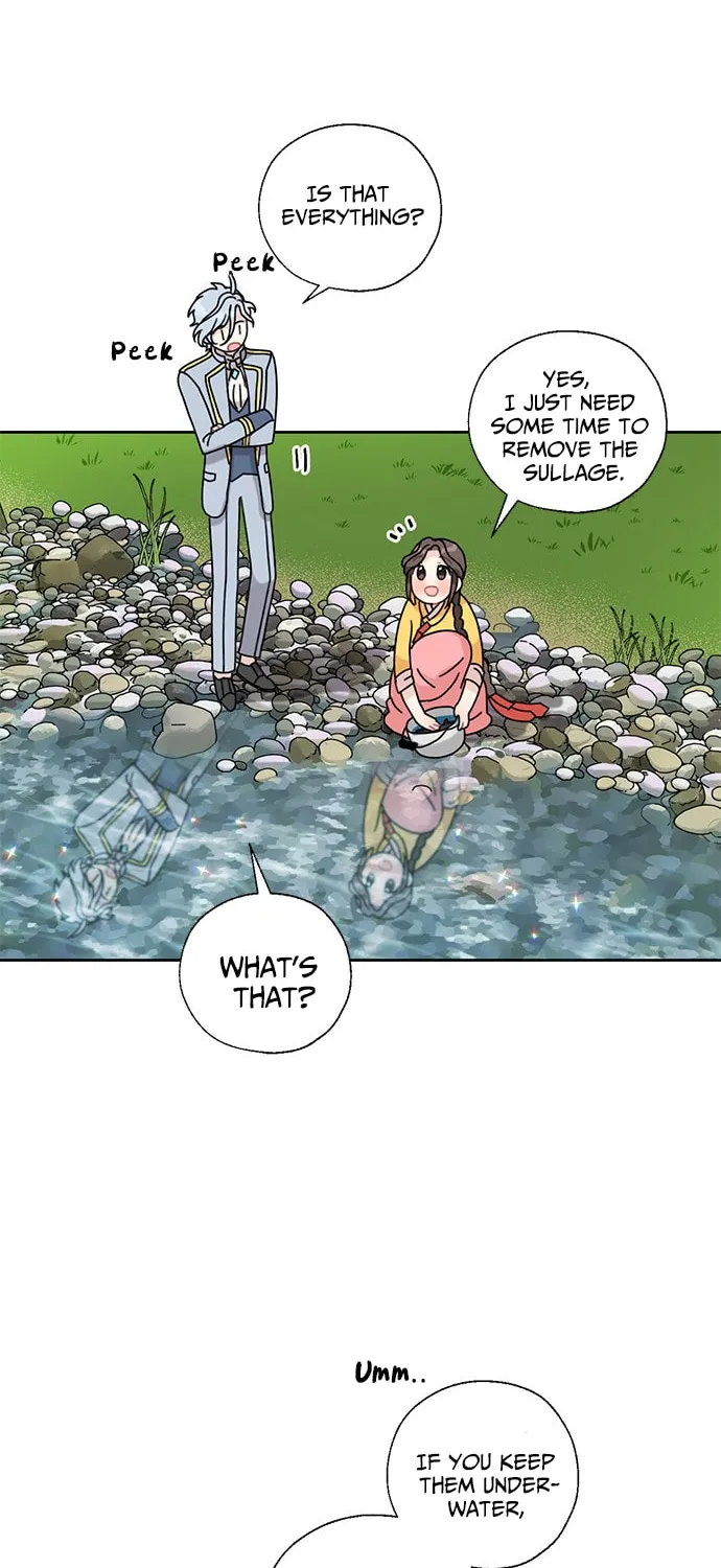 Dragon King's Chef Chapter 14 page 17 - 