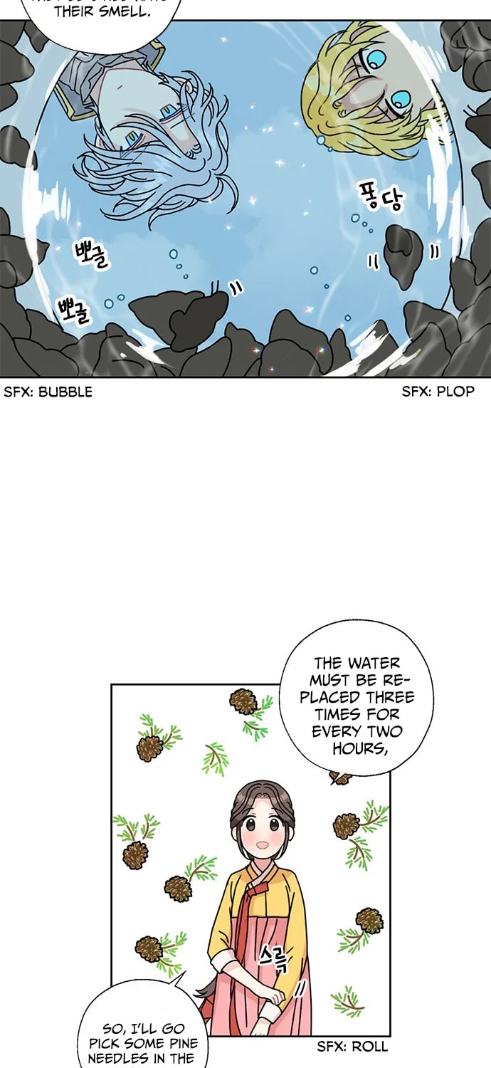 Dragon King's Chef Chapter 14 page 20 - 