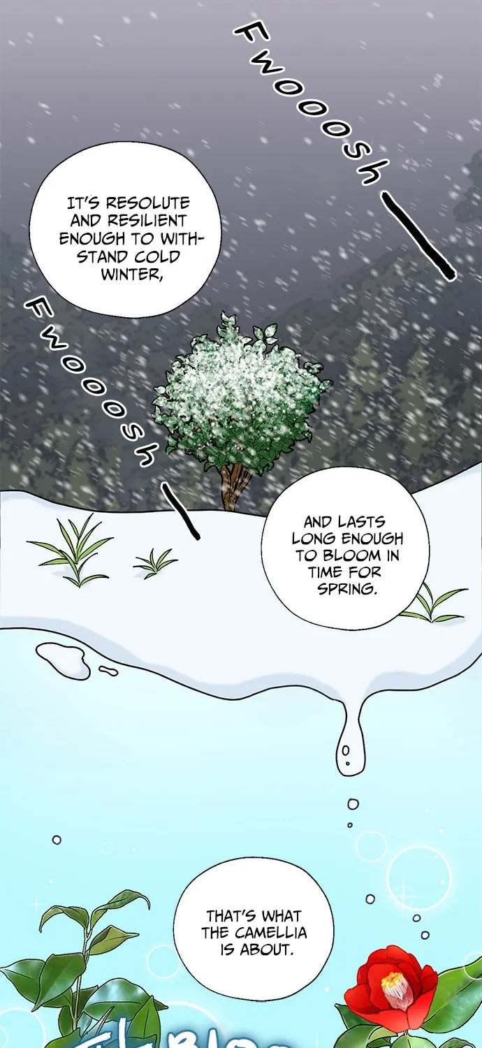 Dragon King's Chef Chapter 15 page 45 - 