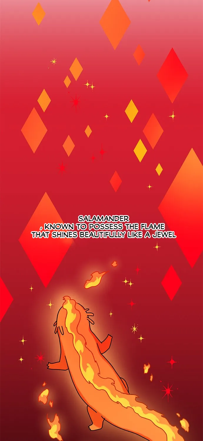 Dragon King's Chef Chapter 16 page 41 - 