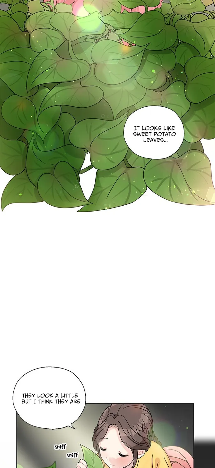 Dragon King's Chef Chapter 2 page 24 - 
