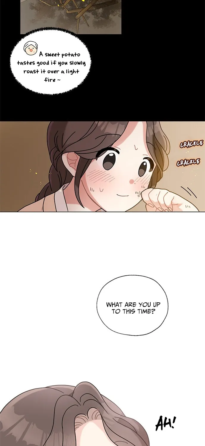 Dragon King's Chef Chapter 2 page 41 - 