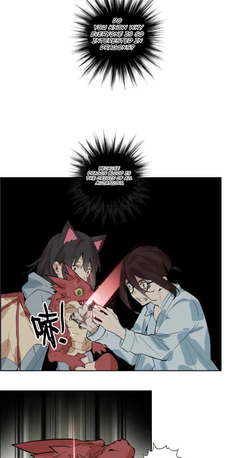 Dragon Rearing꞉ Scales Against the Sky Chapter 29 page 13 - 
