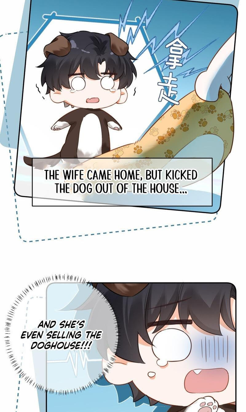 Drawn in by His Devotion Chapter 52 page 38 - 