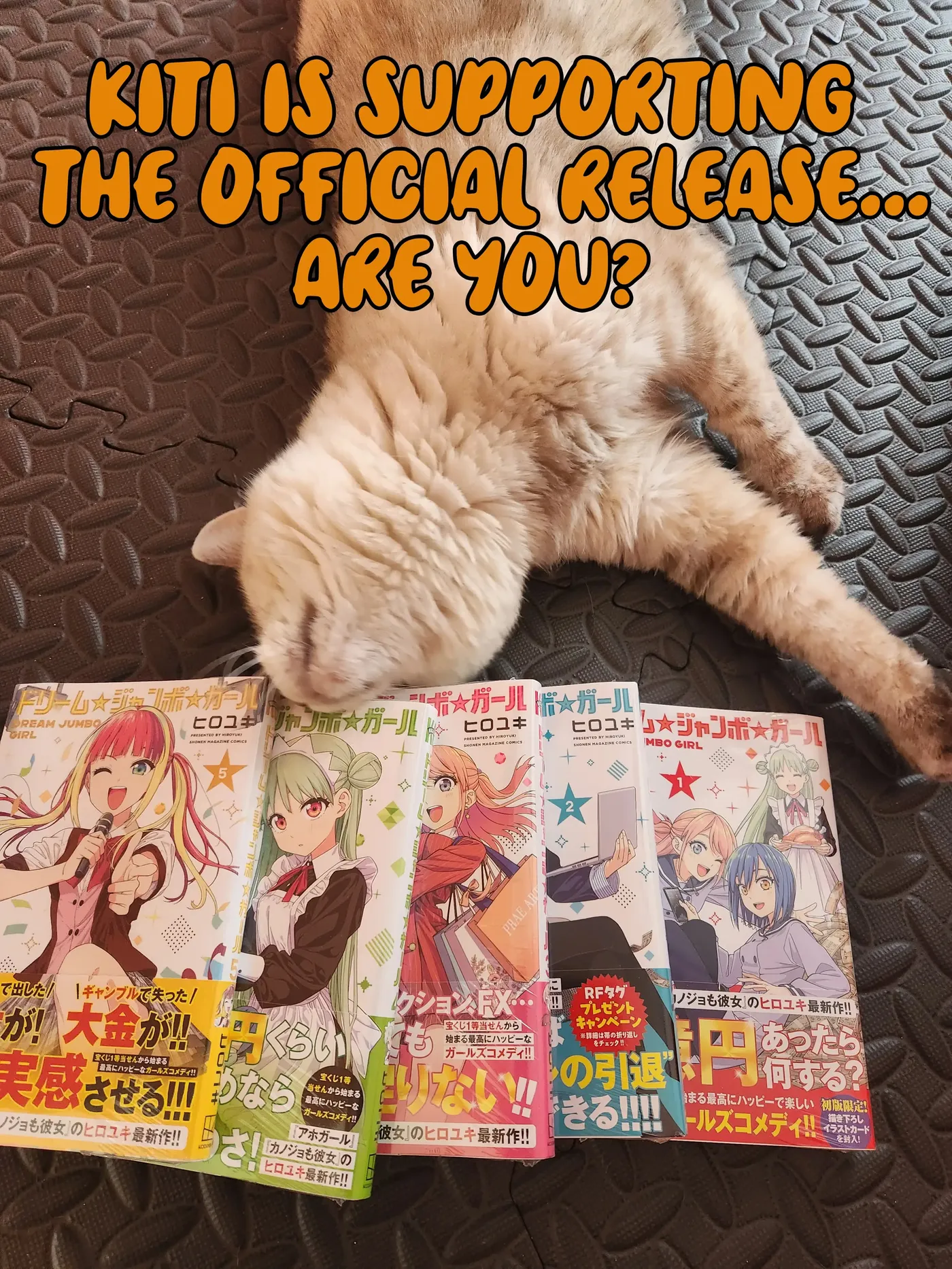 Dream☆Jumbo☆Girl Chapter 52 page 19 - 