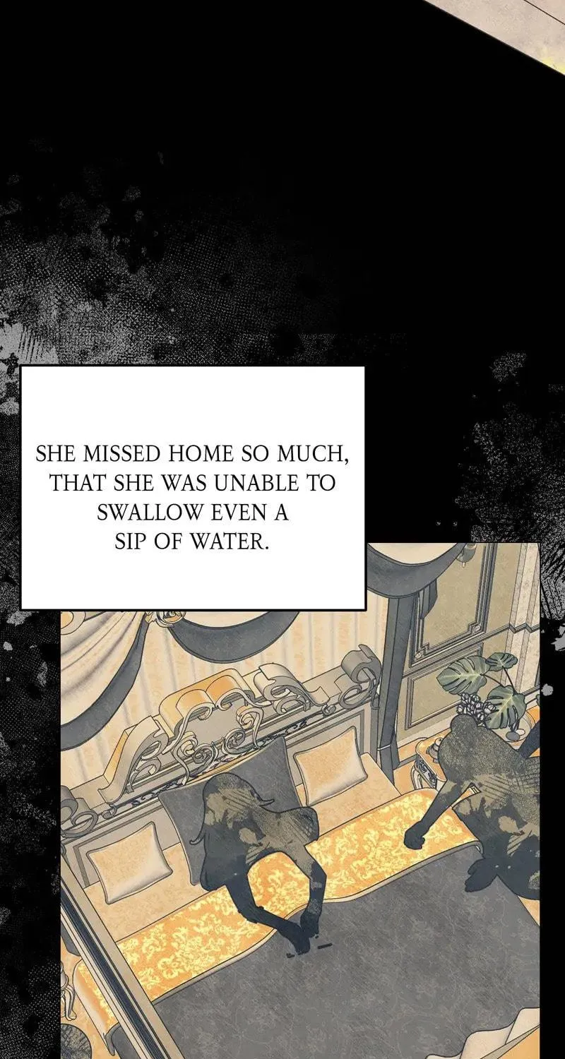 Duchess's Lo-Fi Coffeehouse Chapter 56 page 91 - 