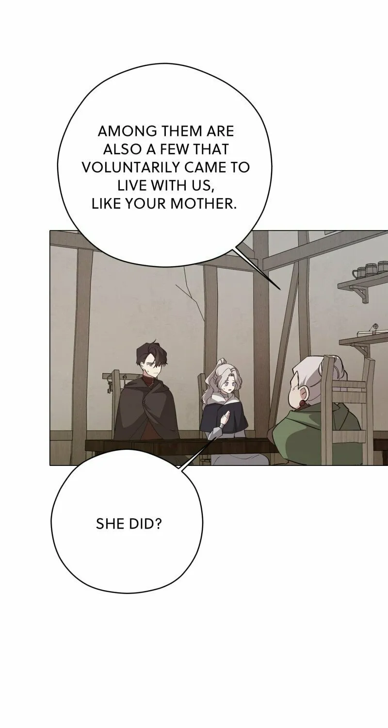 Duchess's Lo-Fi Coffeehouse Chapter 75 page 42 - 