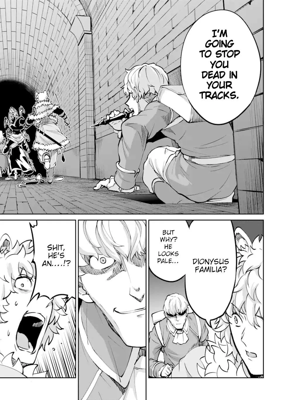 Dungeon Ni Deai O Motomeru No Wa Machigatte Iru Darou Ka Gaiden - Sword Oratoria Chapter 101 page 33 - 