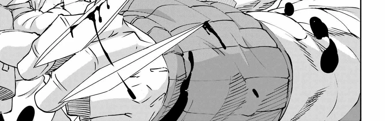 Dungeon Ni Deai O Motomeru No Wa Machigatte Iru Darou Ka Gaiden - Sword Oratoria Chapter 104 page 74 - 