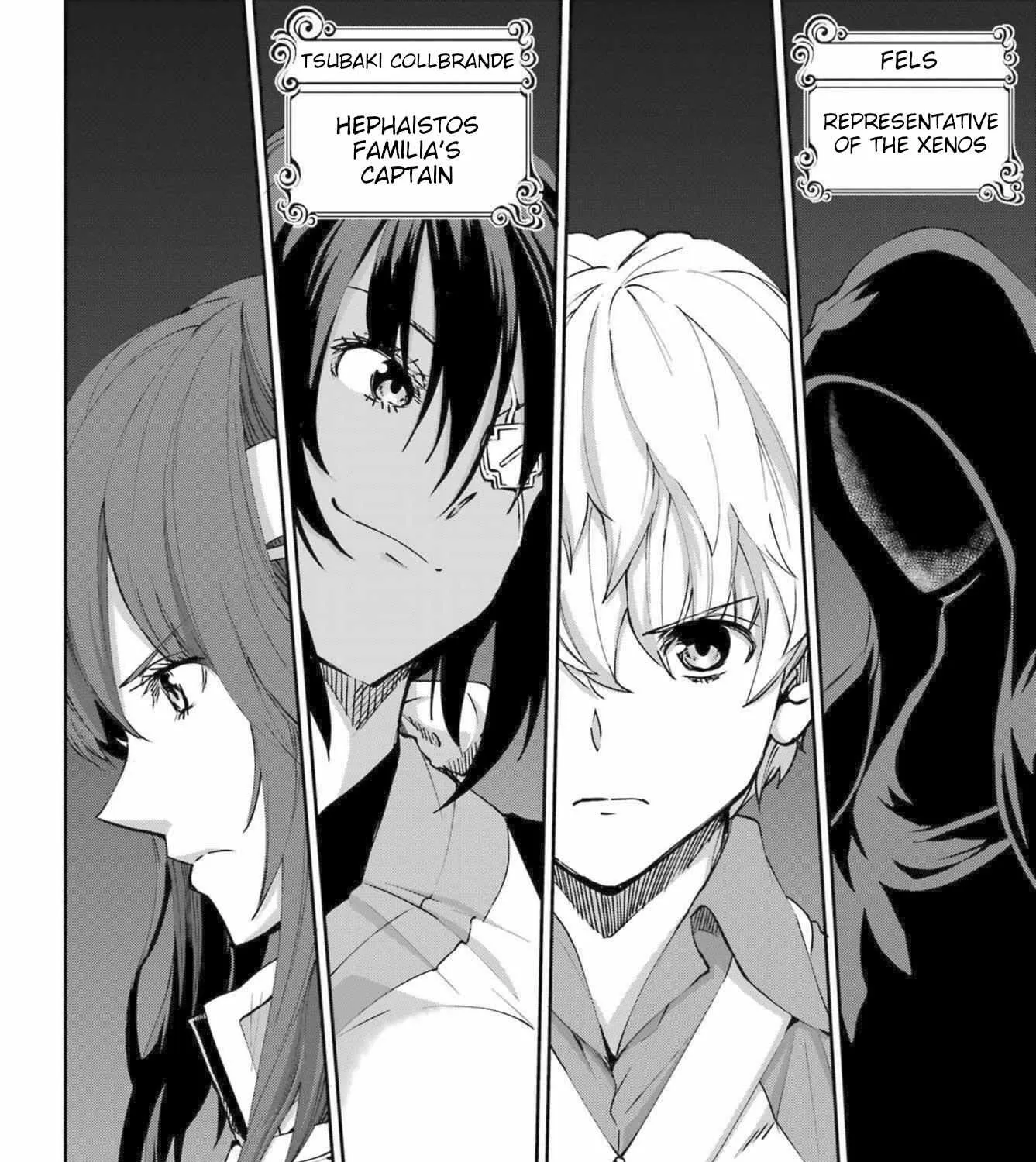 Dungeon Ni Deai O Motomeru No Wa Machigatte Iru Darou Ka Gaiden - Sword Oratoria Chapter 115 page 16 - 