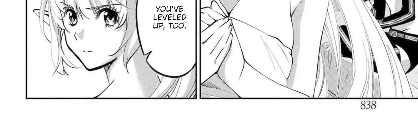 Dungeon Ni Deai O Motomeru No Wa Machigatte Iru Darou Ka Gaiden - Sword Oratoria Chapter 116 page 8 - 
