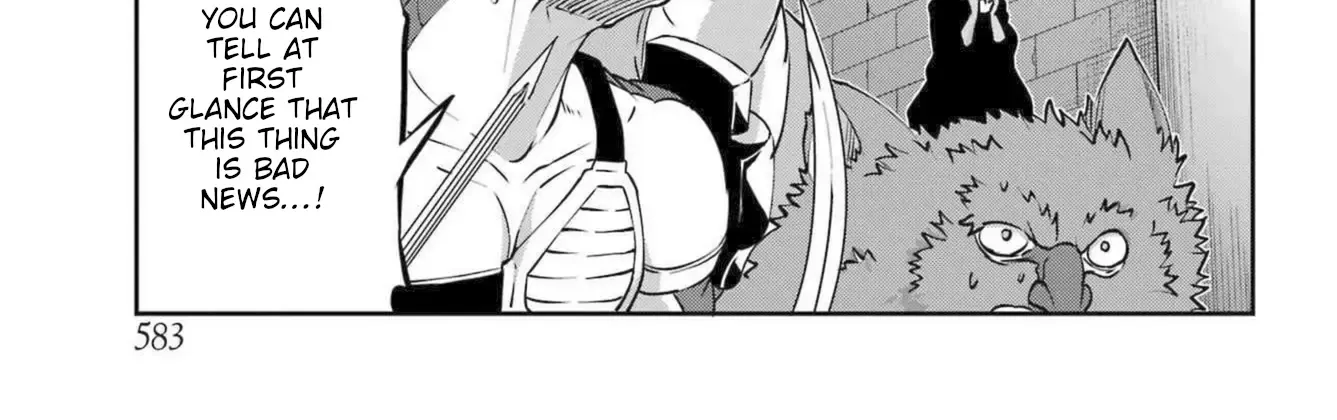 Dungeon Ni Deai O Motomeru No Wa Machigatte Iru Darou Ka Gaiden - Sword Oratoria Chapter 118 page 25 - 