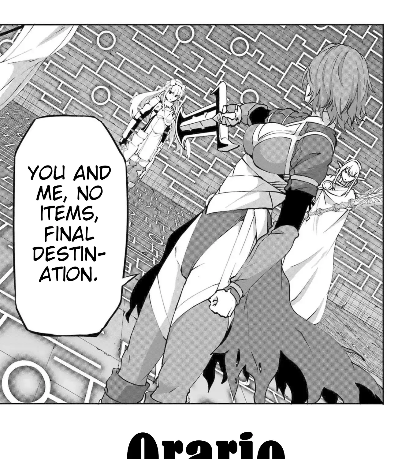 Dungeon Ni Deai O Motomeru No Wa Machigatte Iru Darou Ka Gaiden - Sword Oratoria Chapter 118 page 96 - 