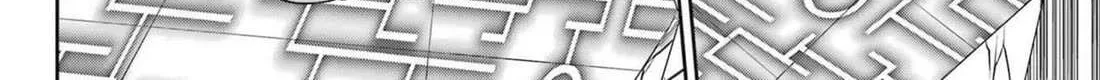 Dungeon Ni Deai O Motomeru No Wa Machigatte Iru Darou Ka Gaiden - Sword Oratoria Chapter 120 page 37 - 
