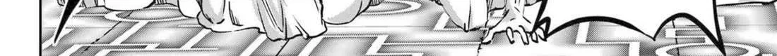 Dungeon Ni Deai O Motomeru No Wa Machigatte Iru Darou Ka Gaiden - Sword Oratoria Chapter 120 page 77 - 