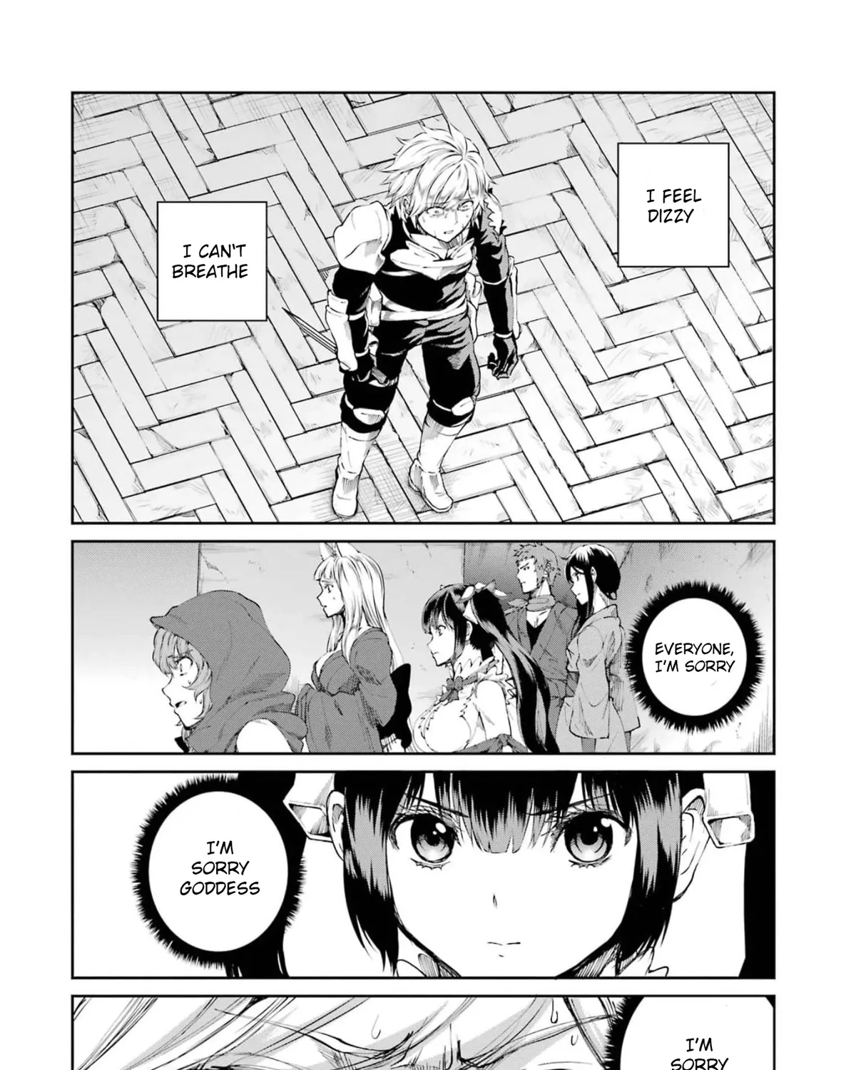 Dungeon Ni Deai O Motomeru No Wa Machigatte Iru Darou Ka Gaiden - Sword Oratoria Chapter 80 page 25 - 