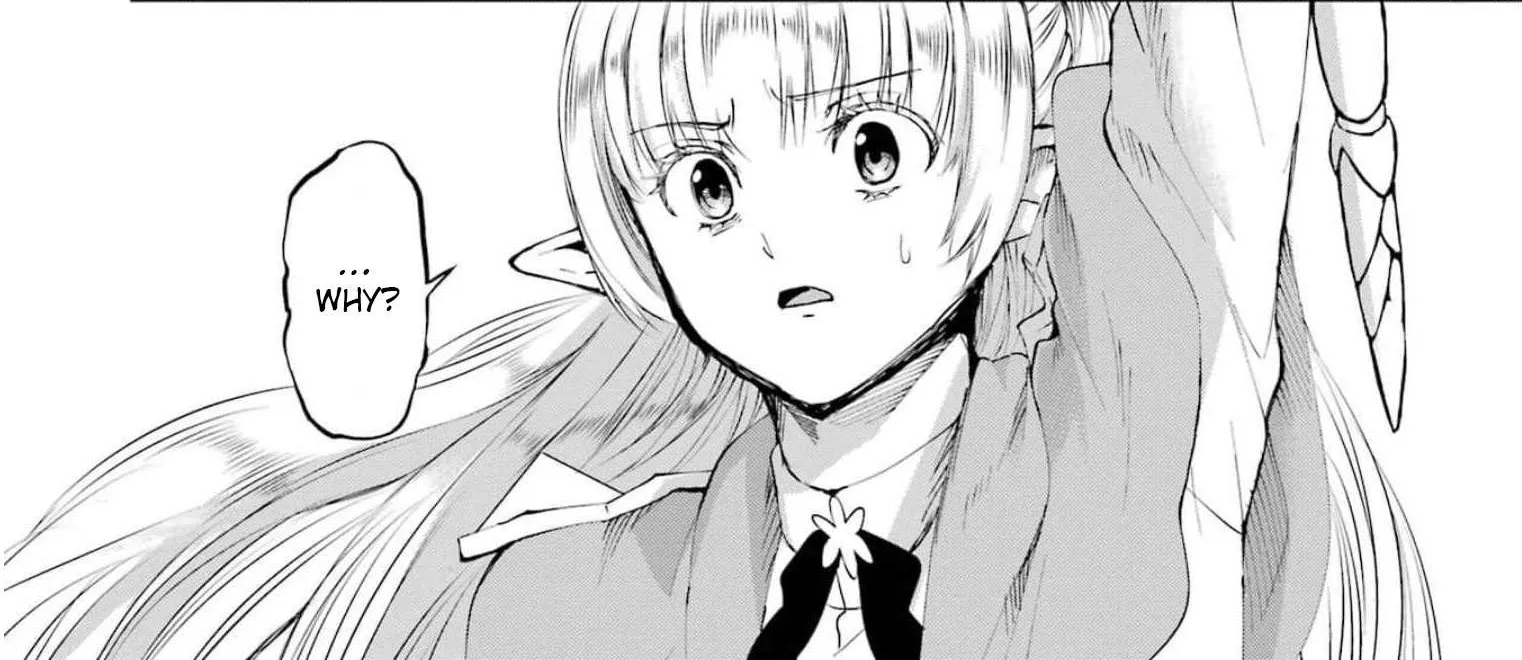 Dungeon Ni Deai O Motomeru No Wa Machigatte Iru Darou Ka Gaiden - Sword Oratoria Chapter 81 page 92 - 