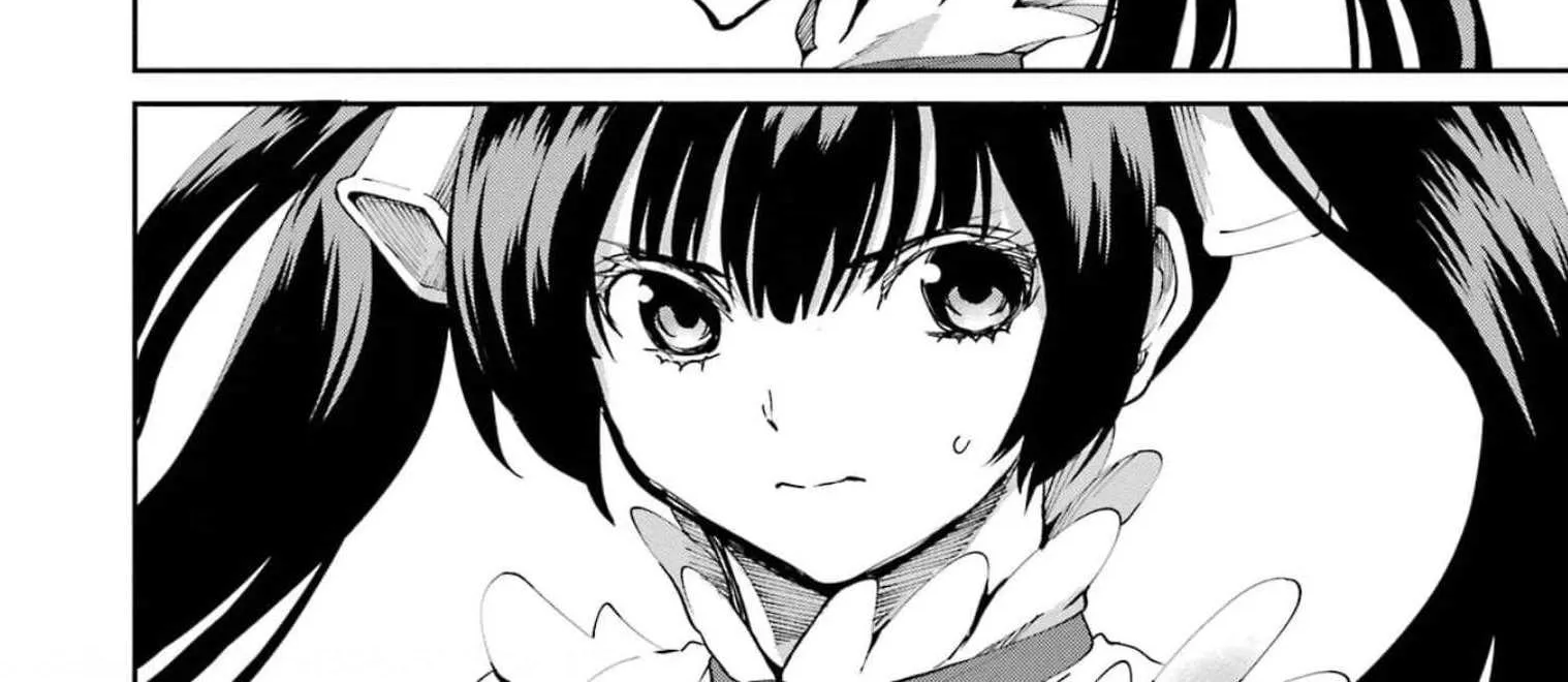 Dungeon Ni Deai O Motomeru No Wa Machigatte Iru Darou Ka Gaiden - Sword Oratoria Chapter 82 page 88 - 