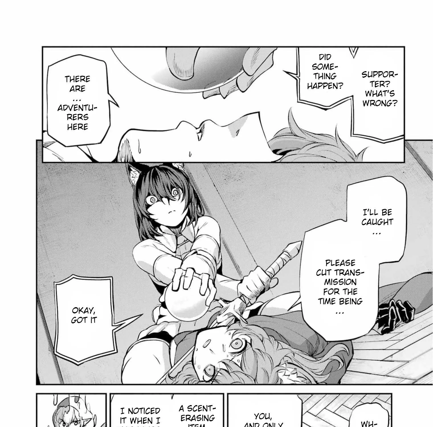 Dungeon Ni Deai O Motomeru No Wa Machigatte Iru Darou Ka Gaiden - Sword Oratoria Chapter 86 page 75 - 