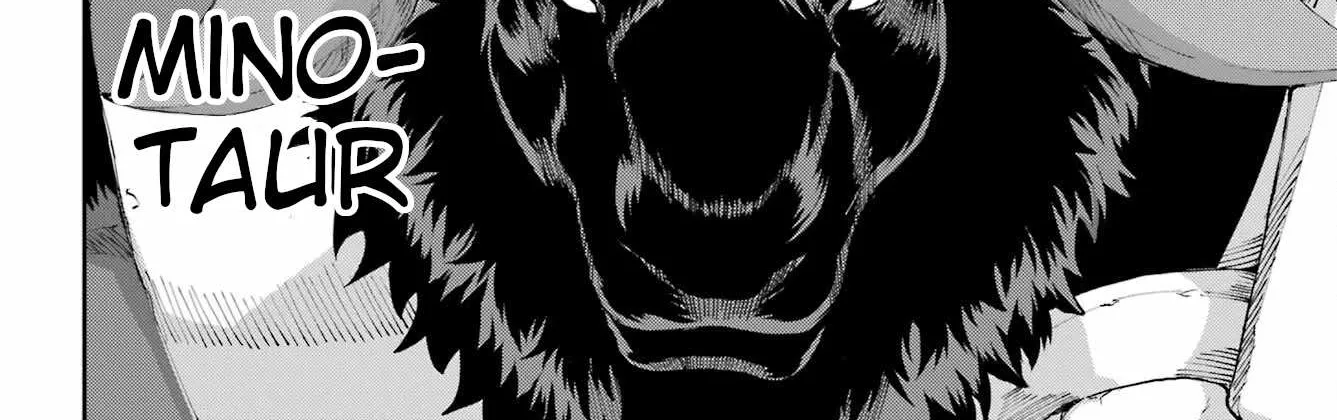 Dungeon Ni Deai O Motomeru No Wa Machigatte Iru Darou Ka Gaiden - Sword Oratoria Chapter 94 page 17 - 
