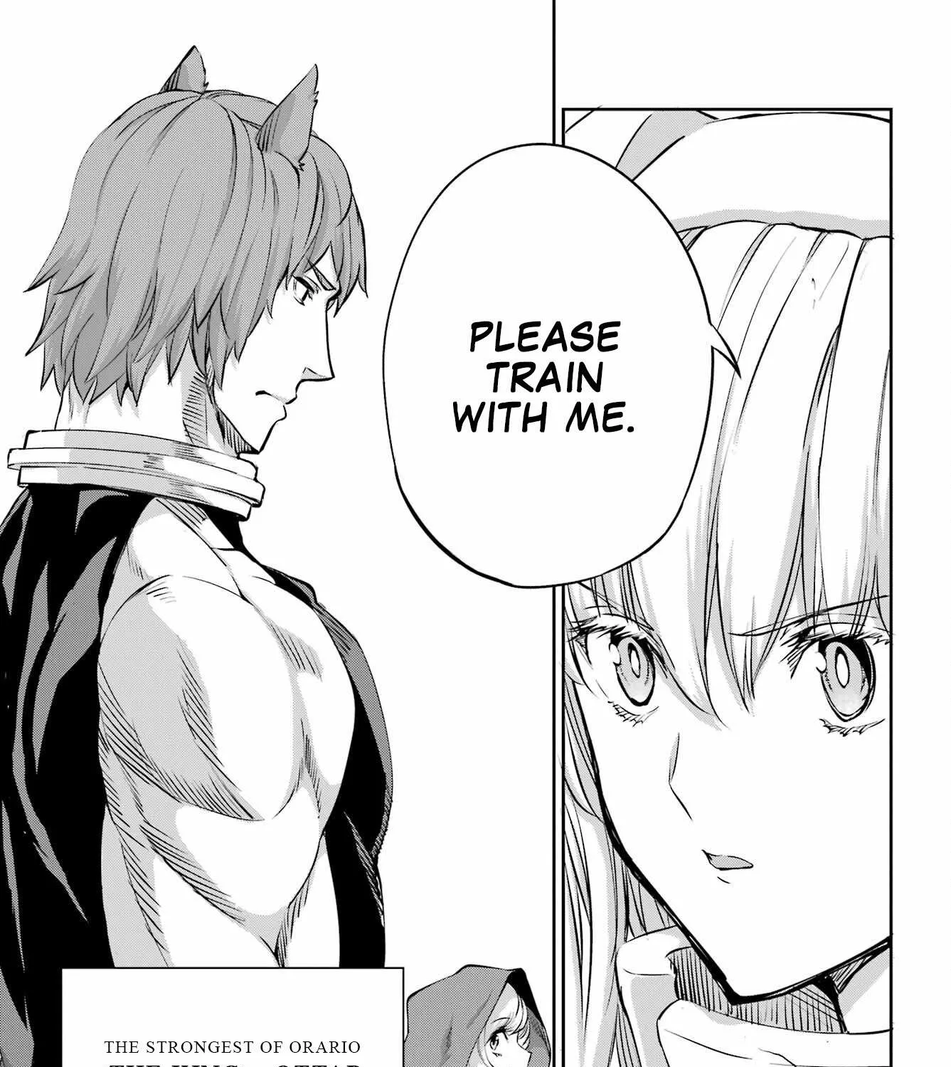 Dungeon Ni Deai O Motomeru No Wa Machigatte Iru Darou Ka Gaiden - Sword Oratoria Chapter 98 page 55 - 