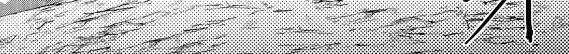 Dungeon Seekers Chapter 6 page 47 - 