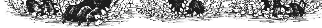 Eden of Witches Chapter 1 page 124 - 