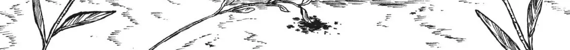Eden of Witches Chapter 10 page 16 - 