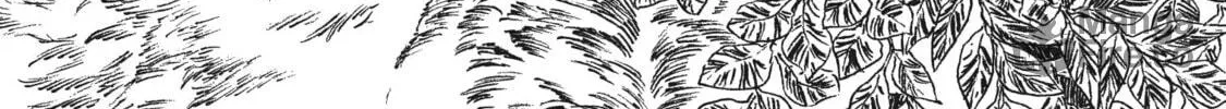 Eden of Witches Chapter 12 page 80 - 