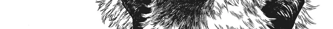 Eden of Witches Chapter 15 page 12 - 