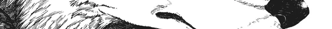 Eden of Witches Chapter 15 page 28 - 