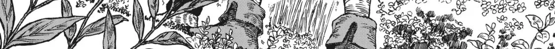 Eden of Witches Chapter 16 page 2 - 