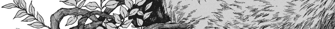 Eden of Witches Chapter 17 page 34 - 