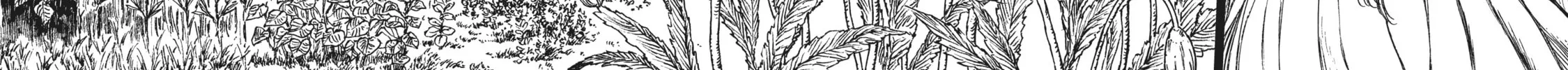 Eden of Witches Chapter 18 page 48 - 
