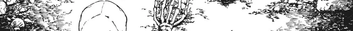 Eden of Witches Chapter 24 page 20 - 