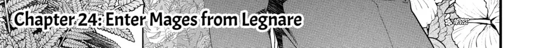 Eiyuu to Kenja no Tensei Kon Chapter 24.1 page 2 - 