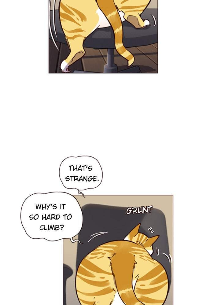 Eleceed Chapter 1 page 96 - 