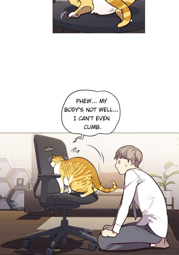 Eleceed Chapter 1 page 97 - 