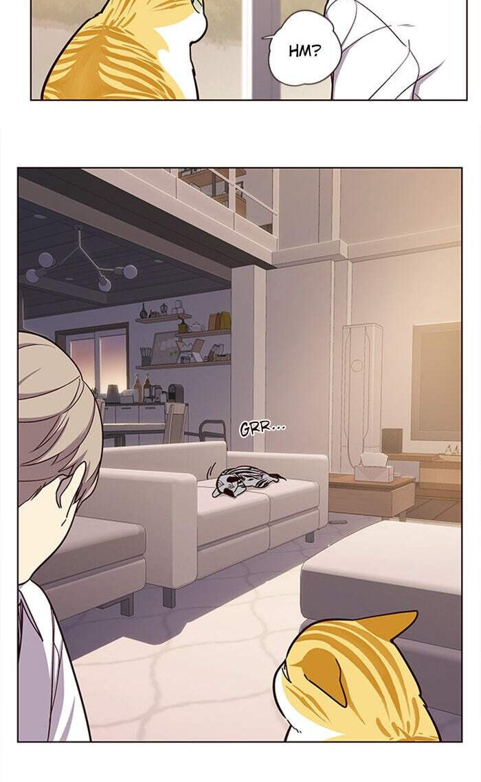 Eleceed Chapter 10 page 15 - 