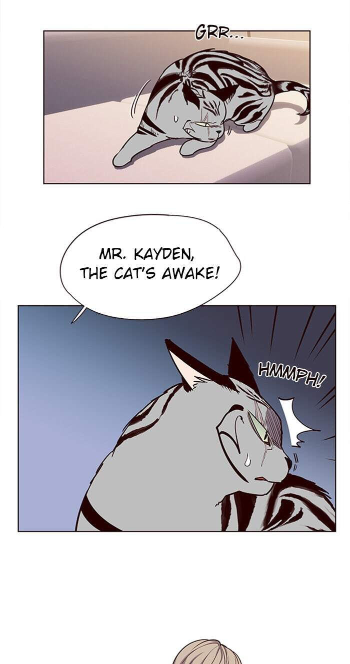 Eleceed Chapter 10 page 16 - 