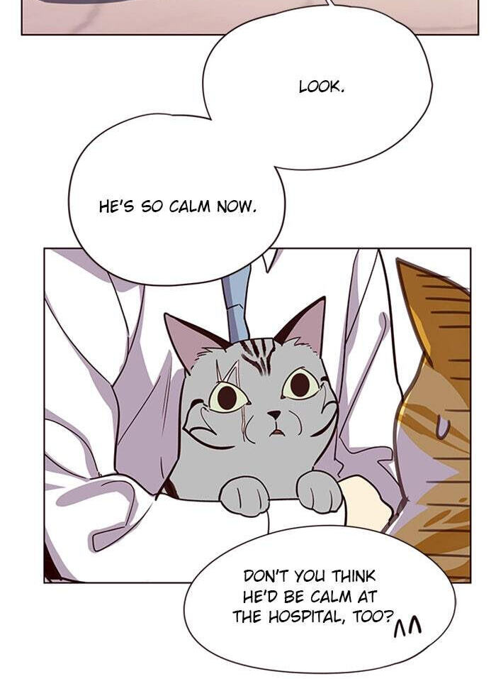 Eleceed Chapter 10 page 29 - 