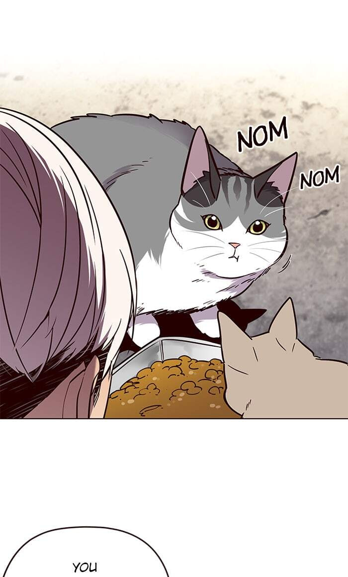 Eleceed Chapter 100 page 19 - 