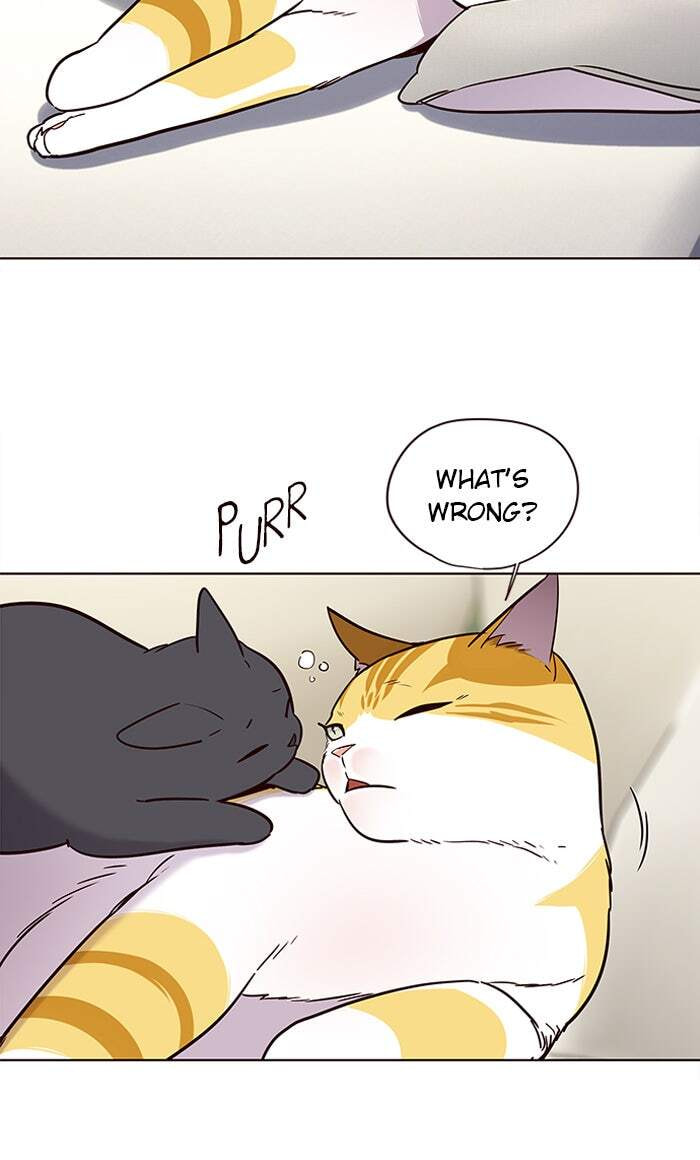 Eleceed Chapter 101 page 3 - 