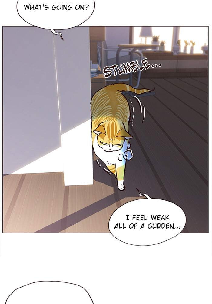 Eleceed Chapter 11 page 27 - 