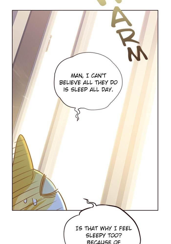 Eleceed Chapter 11 page 37 - 