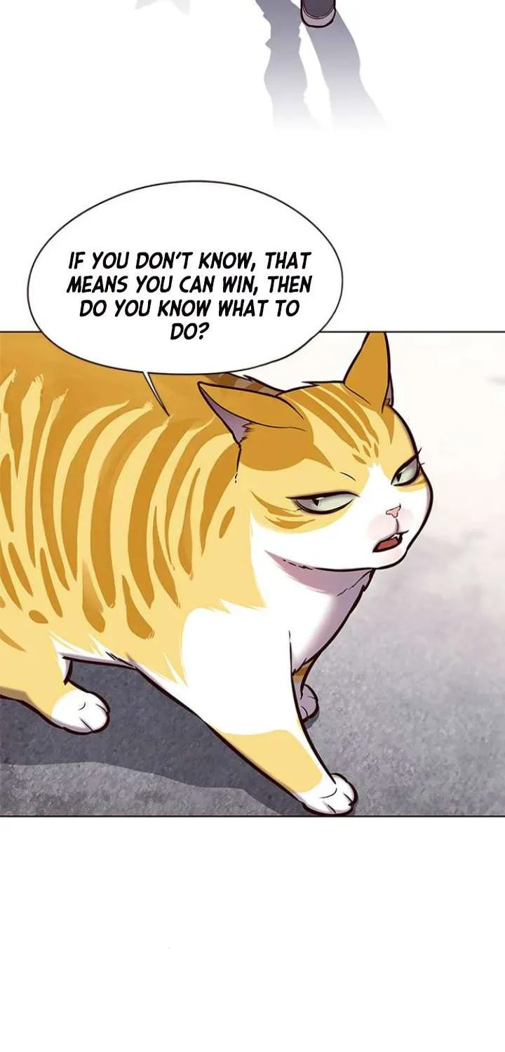 Eleceed Chapter 117.2 page 41 - 