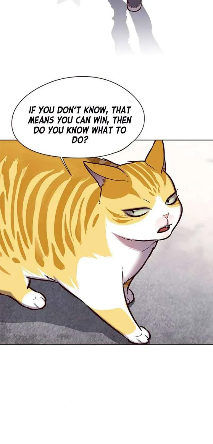 Eleceed Chapter 117.3 page 41 - 